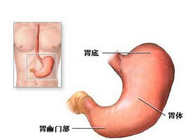 胃下垂有什么症状表现
